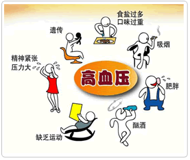 高血压是由什么原因引起的
