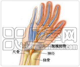 告诉你鼠标手有多恐怖